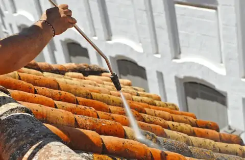 Nettoyage de toitures - Brunstatt-Didenheim